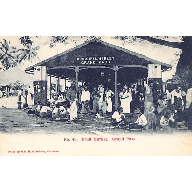 Rare collectable postcards of SRI LANKA. Vintage Postcards of SRI LANKA