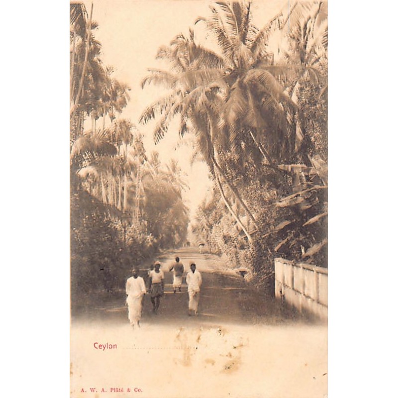 Rare collectable postcards of SRI LANKA. Vintage Postcards of SRI LANKA