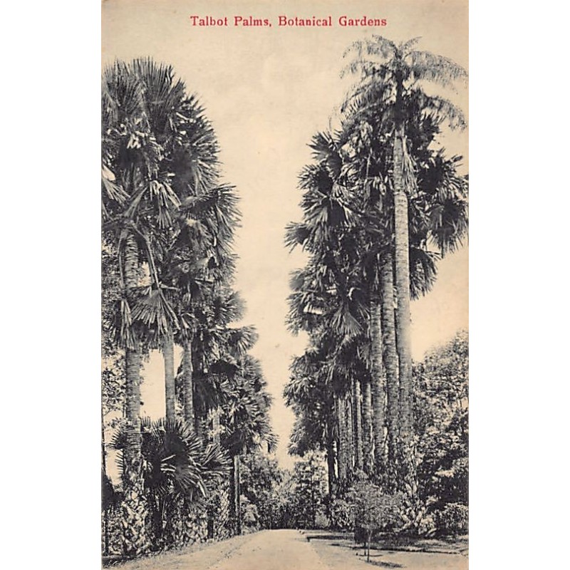 Rare collectable postcards of SRI LANKA. Vintage Postcards of SRI LANKA