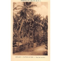Rare collectable postcards of SRI LANKA. Vintage Postcards of SRI LANKA
