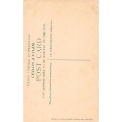 Rare collectable postcards of SRI LANKA. Vintage Postcards of SRI LANKA