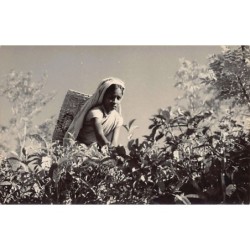 Rare collectable postcards of SRI LANKA. Vintage Postcards of SRI LANKA