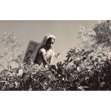 Rare collectable postcards of SRI LANKA. Vintage Postcards of SRI LANKA