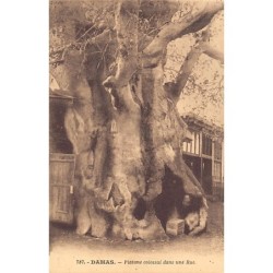 Rare collectable postcards of SYRIA. Vintage Postcards of SYRIA