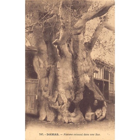 Rare collectable postcards of SYRIA. Vintage Postcards of SYRIA