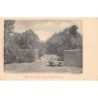 Rare collectable postcards of SYRIA. Vintage Postcards of SYRIA