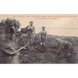 Rare collectable postcards of ALGERIA. Vintage Postcards of ALGERIA