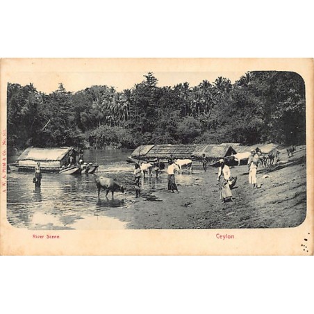 Rare collectable postcards of SRI LANKA. Vintage Postcards of SRI LANKA