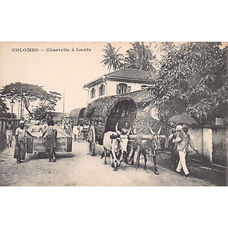 Rare collectable postcards of SRI LANKA. Vintage Postcards of SRI LANKA