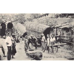 Rare collectable postcards of SRI LANKA. Vintage Postcards of SRI LANKA