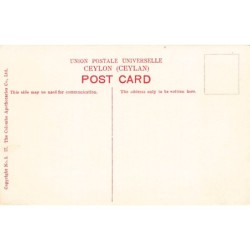 Rare collectable postcards of SRI LANKA. Vintage Postcards of SRI LANKA