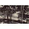 Rare collectable postcards of SRI LANKA. Vintage Postcards of SRI LANKA