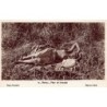 Rare collectable postcards of ETHNIC NUDE. Vintage Postcards of ETHNIC NUDE