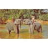 Rare collectable postcards of SRI LANKA. Vintage Postcards of SRI LANKA