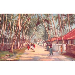 Rare collectable postcards of SRI LANKA. Vintage Postcards of SRI LANKA