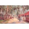Rare collectable postcards of SRI LANKA. Vintage Postcards of SRI LANKA