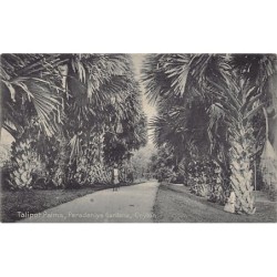 Rare collectable postcards of SRI LANKA. Vintage Postcards of SRI LANKA