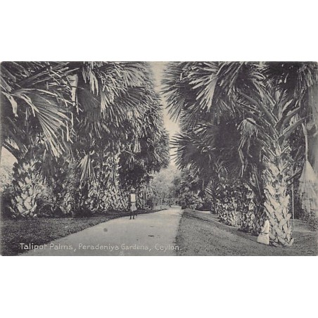 Rare collectable postcards of SRI LANKA. Vintage Postcards of SRI LANKA