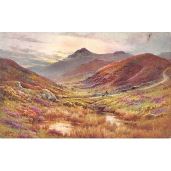 Rare collectable postcards of ENGLAND. Vintage Postcards of ENGLAND