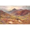Rare collectable postcards of ENGLAND. Vintage Postcards of ENGLAND