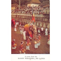 Rare collectable postcards of SRI LANKA. Vintage Postcards of SRI LANKA