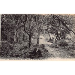 Rare collectable postcards of ENGLAND. Vintage Postcards of ENGLAND
