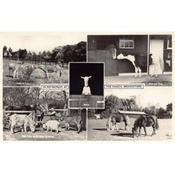 Rare collectable postcards of ENGLAND. Vintage Postcards of ENGLAND