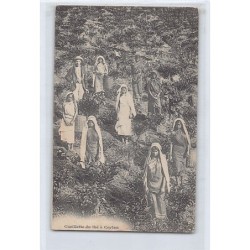 Rare collectable postcards of SRI LANKA. Vintage Postcards of SRI LANKA