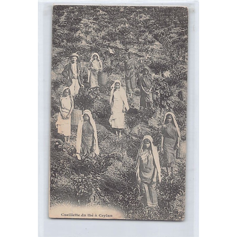 Rare collectable postcards of SRI LANKA. Vintage Postcards of SRI LANKA