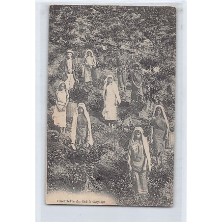 Rare collectable postcards of SRI LANKA. Vintage Postcards of SRI LANKA