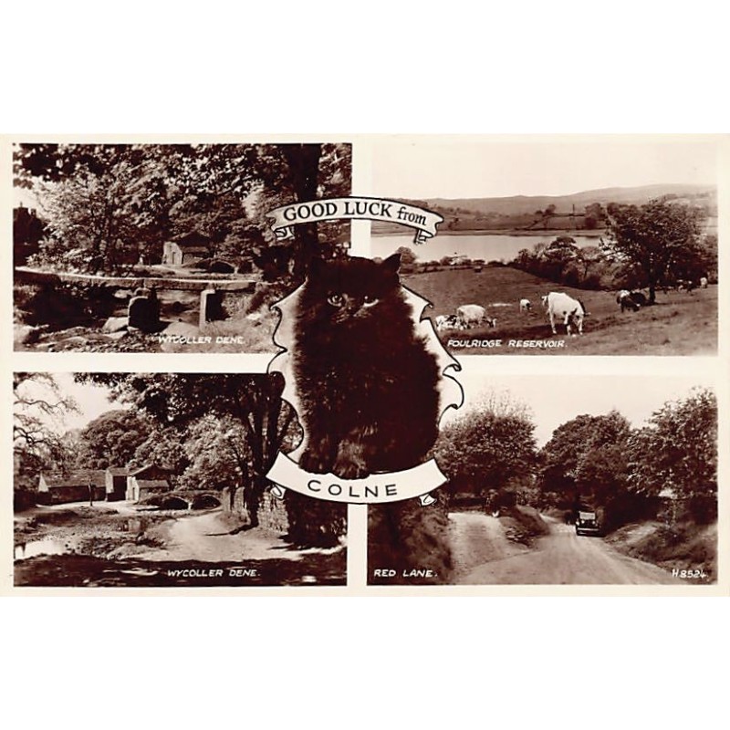Rare collectable postcards of ENGLAND. Vintage Postcards of ENGLAND