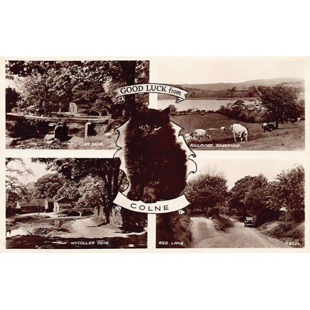 Rare collectable postcards of ENGLAND. Vintage Postcards of ENGLAND