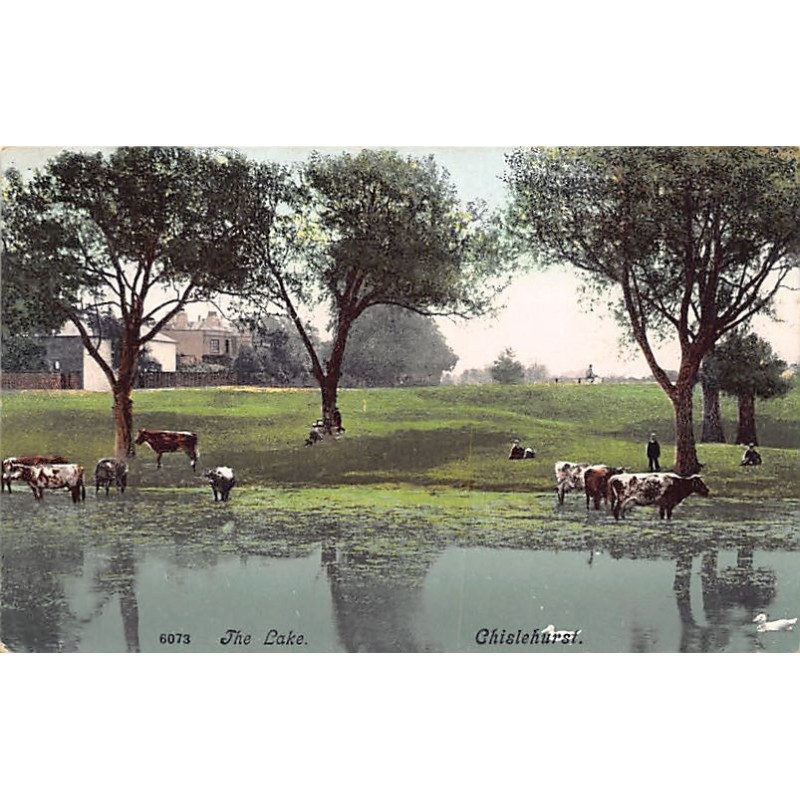 Rare collectable postcards of ENGLAND. Vintage Postcards of ENGLAND