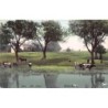 Rare collectable postcards of ENGLAND. Vintage Postcards of ENGLAND