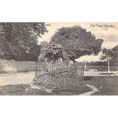 Rare collectable postcards of ENGLAND. Vintage Postcards of ENGLAND