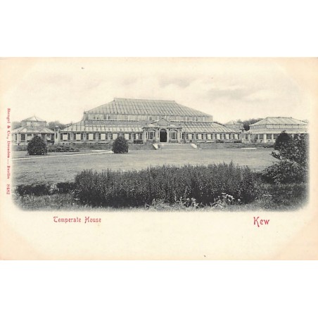 Rare collectable postcards of ENGLAND. Vintage Postcards of ENGLAND