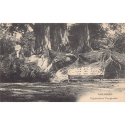 Rare collectable postcards of SRI LANKA. Vintage Postcards of SRI LANKA