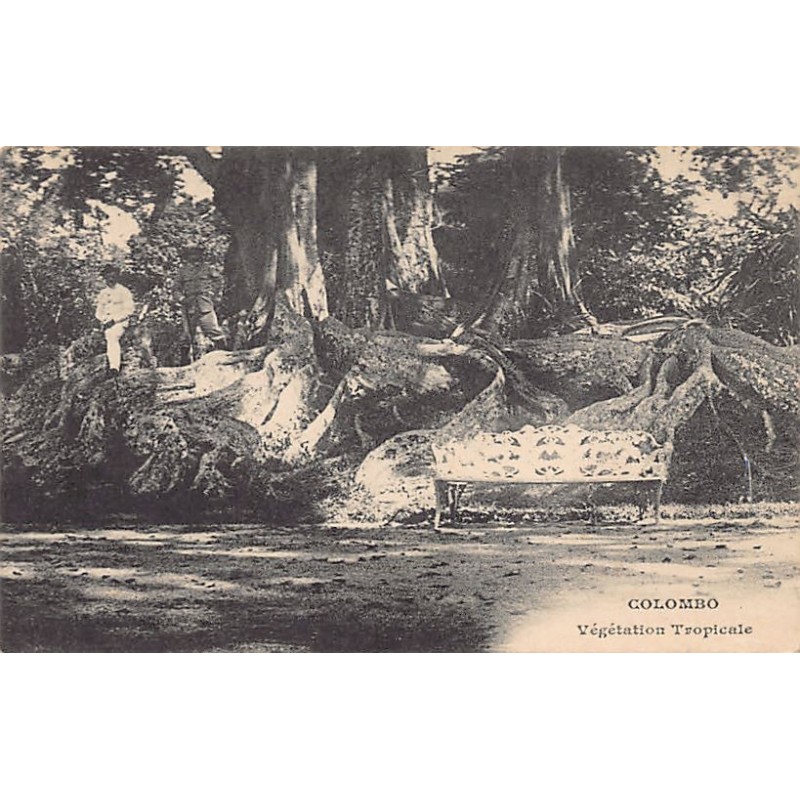 Rare collectable postcards of SRI LANKA. Vintage Postcards of SRI LANKA