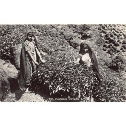 Rare collectable postcards of SRI LANKA. Vintage Postcards of SRI LANKA