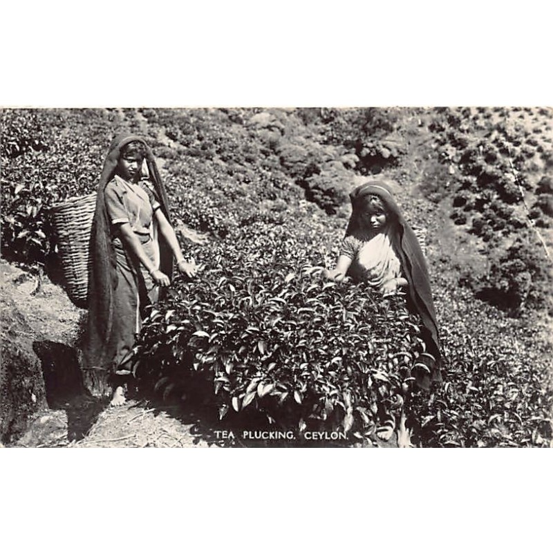 Rare collectable postcards of SRI LANKA. Vintage Postcards of SRI LANKA