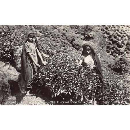 Rare collectable postcards of SRI LANKA. Vintage Postcards of SRI LANKA