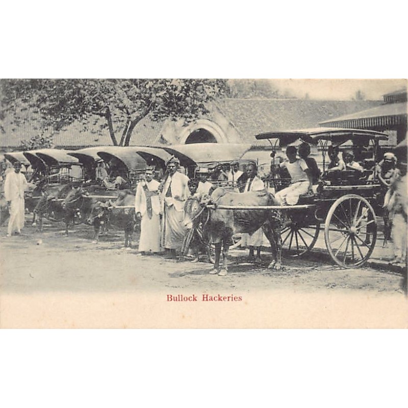 Rare collectable postcards of SRI LANKA. Vintage Postcards of SRI LANKA