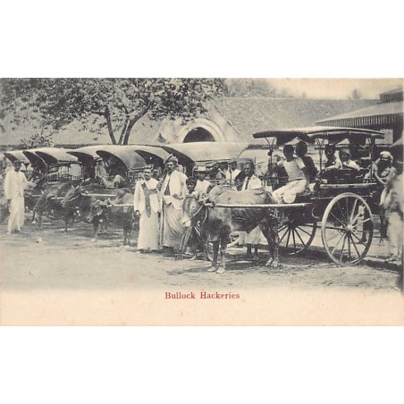 Rare collectable postcards of SRI LANKA. Vintage Postcards of SRI LANKA