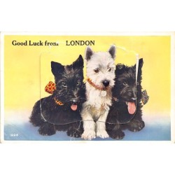 Rare collectable postcards of ENGLAND. Vintage Postcards of ENGLAND