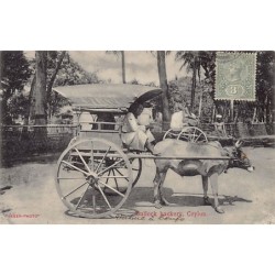 Rare collectable postcards of SRI LANKA. Vintage Postcards of SRI LANKA