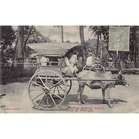 Rare collectable postcards of SRI LANKA. Vintage Postcards of SRI LANKA