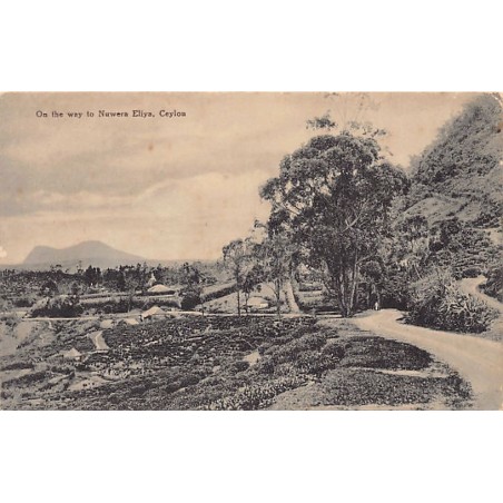 Rare collectable postcards of SRI LANKA. Vintage Postcards of SRI LANKA