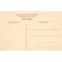 Rare collectable postcards of SRI LANKA. Vintage Postcards of SRI LANKA