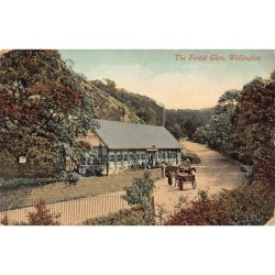 Rare collectable postcards of ENGLAND. Vintage Postcards of ENGLAND