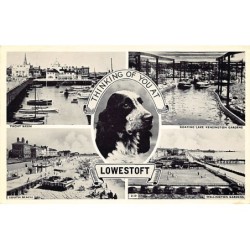 Rare collectable postcards of ENGLAND. Vintage Postcards of ENGLAND